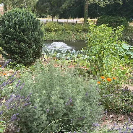 Gartenidylle Am Bach - Im Gruenen Zulpich